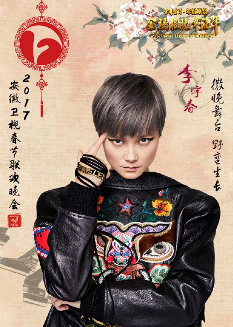 2017鸡年安徽卫视春晚}