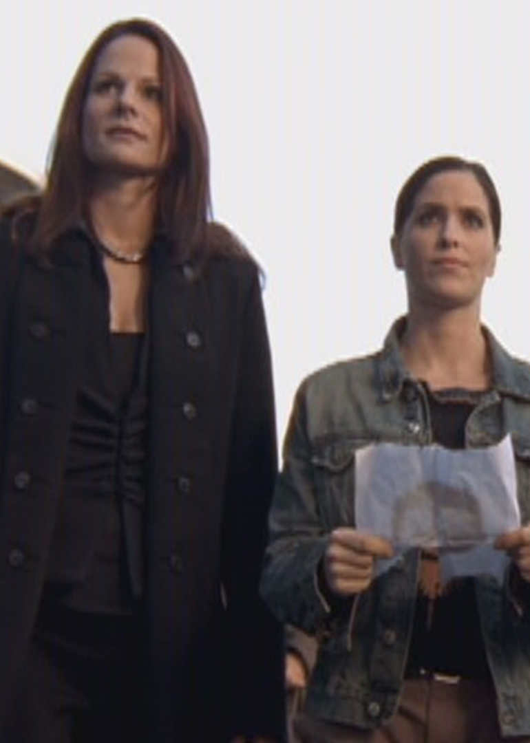 疯狂天使之罪恶冰美人}