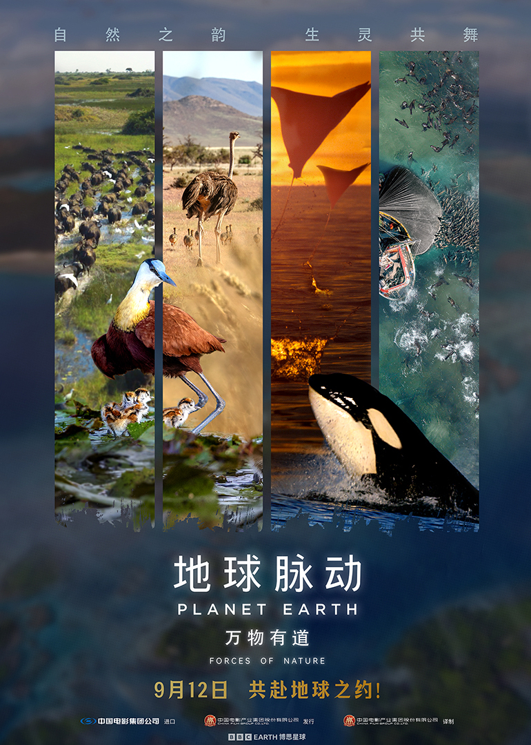 地球脉动万物有道}